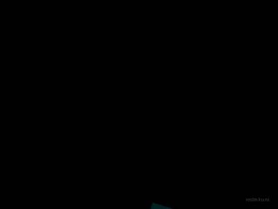 cs_medidoria thumb 8