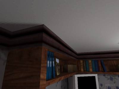 cs_mice_final_s_b2 thumb 5