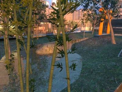 cs_mitsumedori thumb 13
