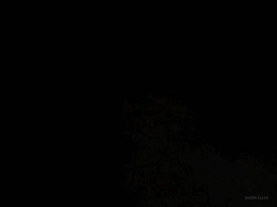 cs_mkzk_proto_v2 thumb 2