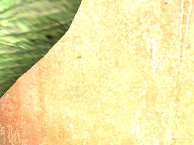 cs_not_brads_crackhouse thumb 38