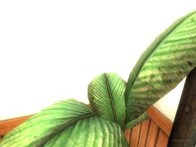 cs_office2 thumb 23