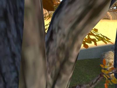 cs_onsen thumb 13