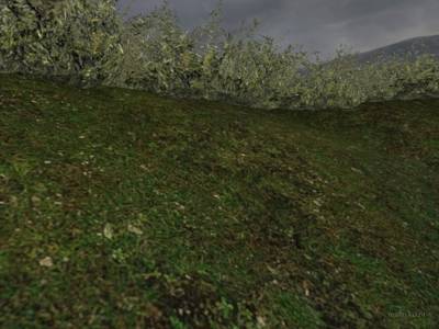cs_oriental thumb 11
