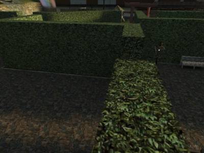 cs_oriental thumb 2