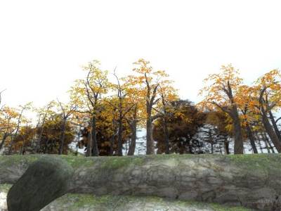 cs_orilla_house thumb 3