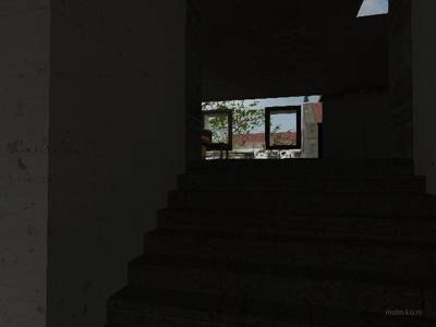 cs_pingotinto thumb 19