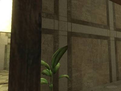 cs_poplar thumb 9