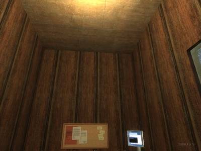 cs_poplar thumb 11