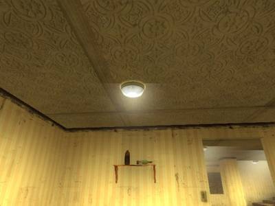cs_quackhouse thumb 21