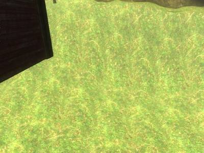 cs_redwood thumb 8