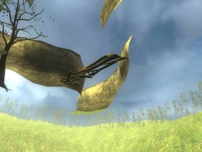 cs_redwood thumb 34