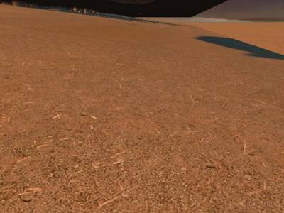 cs_robinson thumb 6