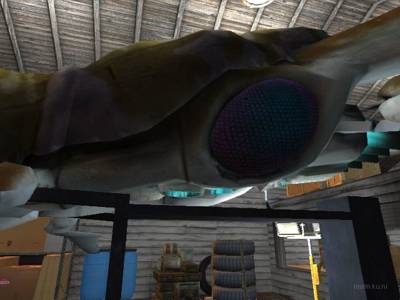 cs_robinson thumb 54