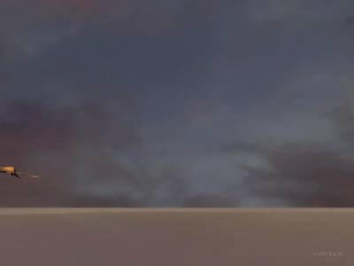 cs_robinson thumb 19