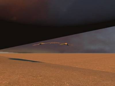 cs_robinson_fade thumb 17