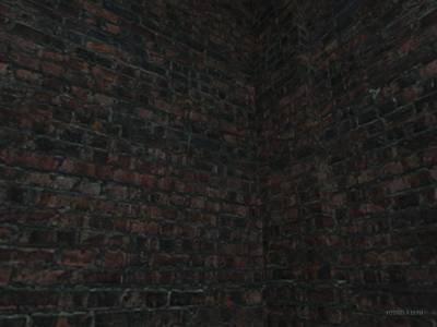 cs_rogue thumb 7
