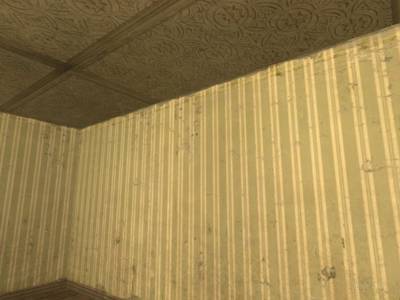 cs_rookgaard thumb 65