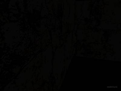 cs_rtrd_colthouse_alpha_1 thumb 16