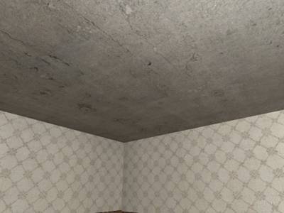 cs_santos_house thumb 2