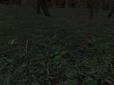 cs_sauna_b1 thumb 59