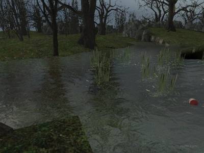 cs_swamp thumb 7