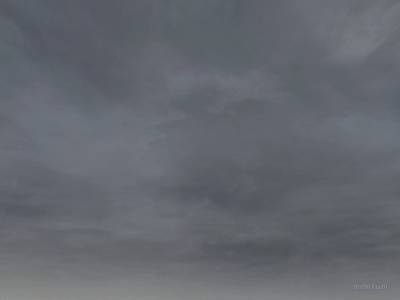 cs_swimteam thumb 15