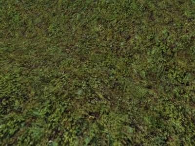 cs_tag thumb 6