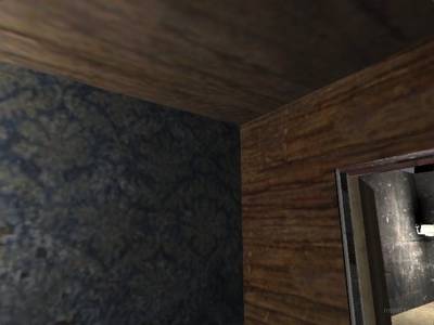 cs_teflonic thumb 7
