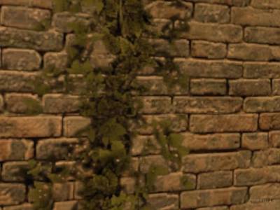 cs_tuscany thumb 11