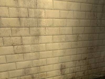 cs_veristy thumb 30