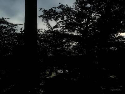 cs_watermill thumb 12
