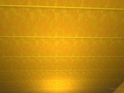 csde_holy thumb 22