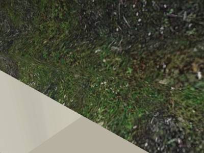 css_fy_unic_rev thumb 3