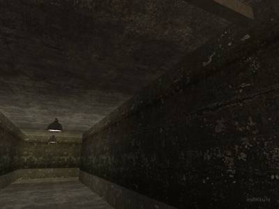 css_unic_de_tungunska thumb 37