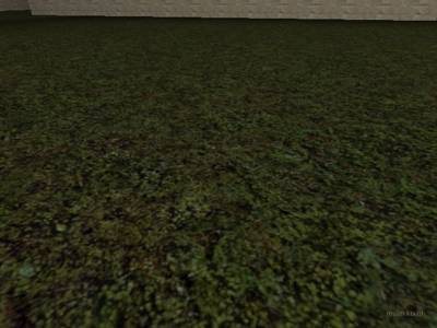 ctf_blackfoot thumb 13
