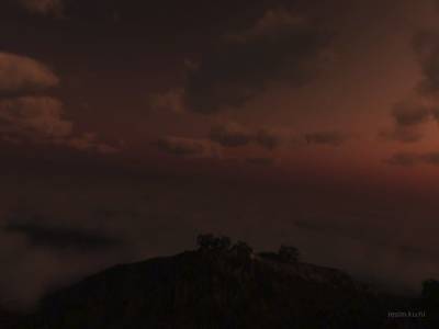 db_water_rot thumb 19