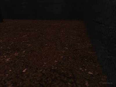 db_water_rot thumb 22