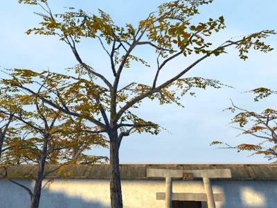 de_ak_jinja thumb 40
