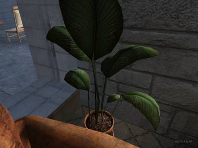 de_bambuntoinensauna_alpha thumb 24