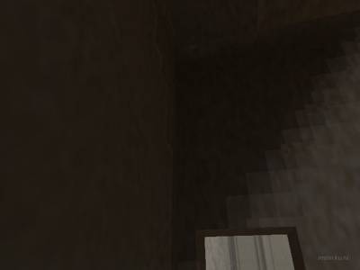 de_bedbugs thumb 21