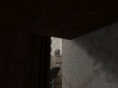 de_bedbugs thumb 13