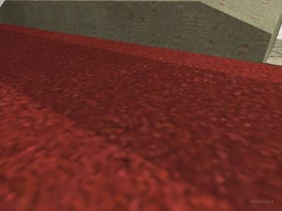 de_bedbugs thumb 14