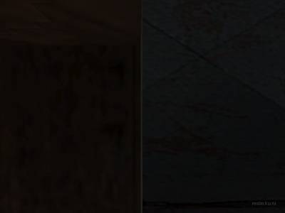 de_bedbugs thumb 22