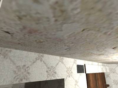 de_bedbugs thumb 3