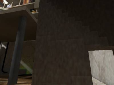 de_bedbugs thumb 16