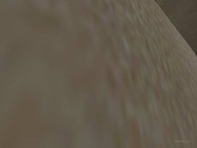 de_bedbugs thumb 7