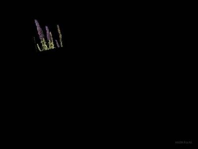de_beta_v2 thumb 5