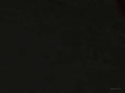 de_birdhouse thumb 49