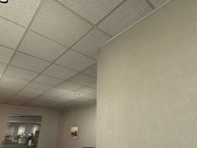 de_bug thumb 53